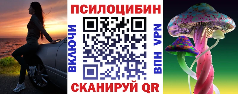 Галлюциногенные грибы Psilocybe  Купить где  Богучар 